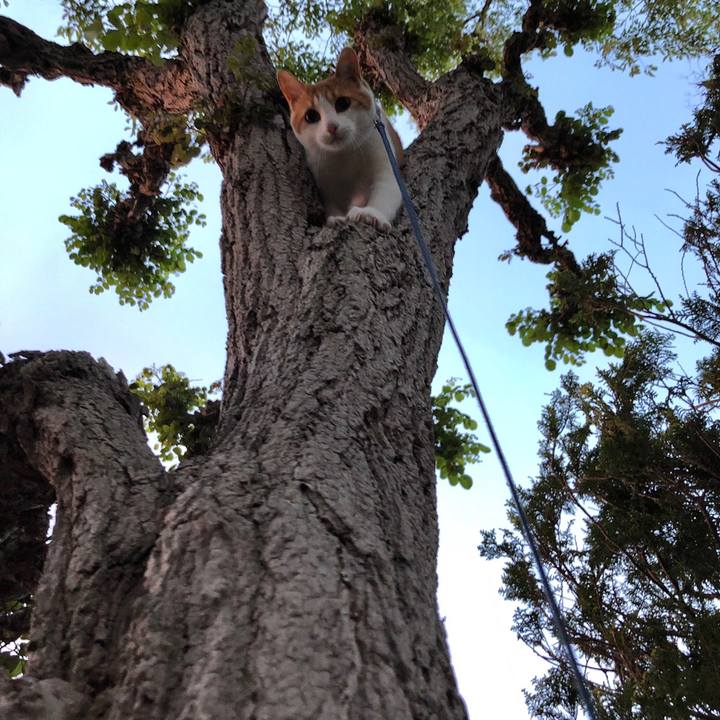 00bd70f1 ea6d 4f8f 8287 4d9a58cac431 1558695076069