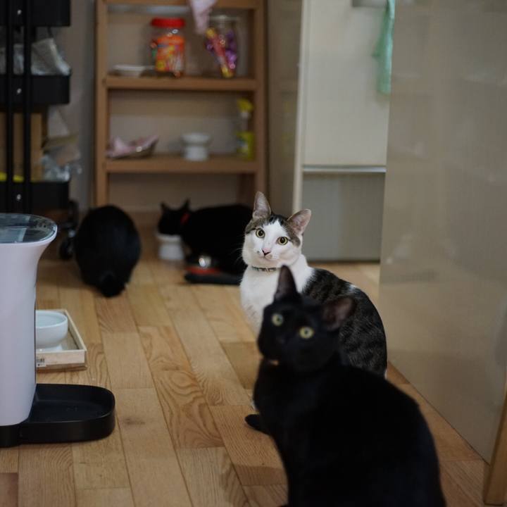 00bd8921 bbfc 42e1 a1df e487ce6c5dcc 1519860469035