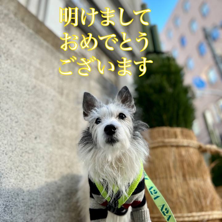 00bd8a95 9597 43cb b59e bd24462c09d5 1672727403194