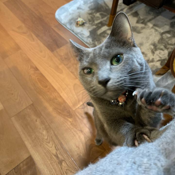 00bd9226 71ba 4ed8 87a5 3b56862f863c 1607866034271