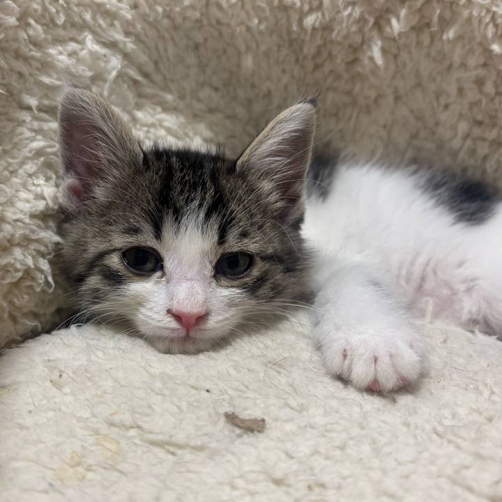 00bd943e 2d1f 4fec 96c2 cf3a3fa25880 1766926297176