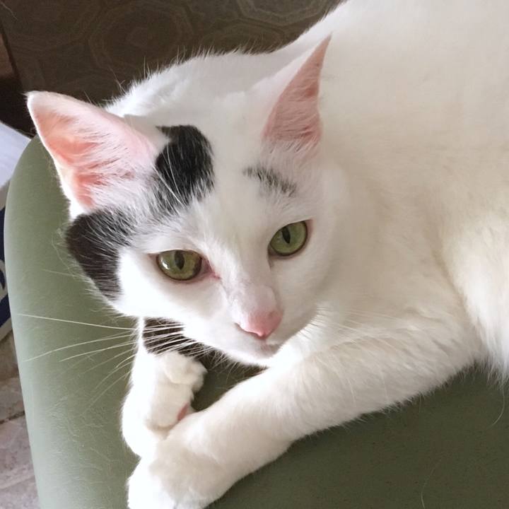 00bd98df 35ca 4c23 83ee 7a763f32e4c6 1564128508701