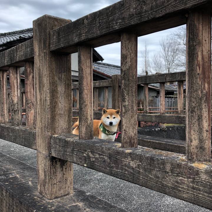 00bd9bb7 95b1 40eb 9041 6dae61bbab05 1549183229041