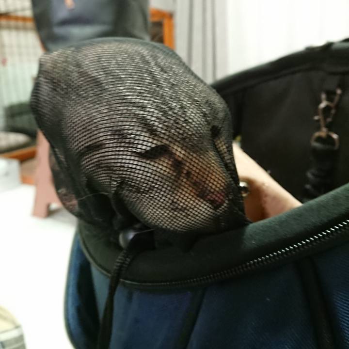 00bda8c8 7778 41c6 b2a4 cb04025133d8 1589018747786