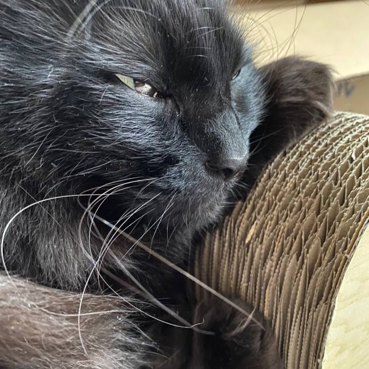 00bde282 5ced 49c0 b1f3 e2c926919bc6 1588297020441