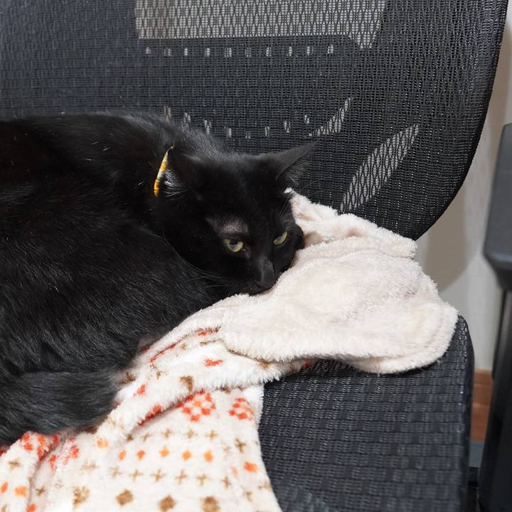 00bdf7a7 1e76 441c a8e6 ca1656195070 1604920274635