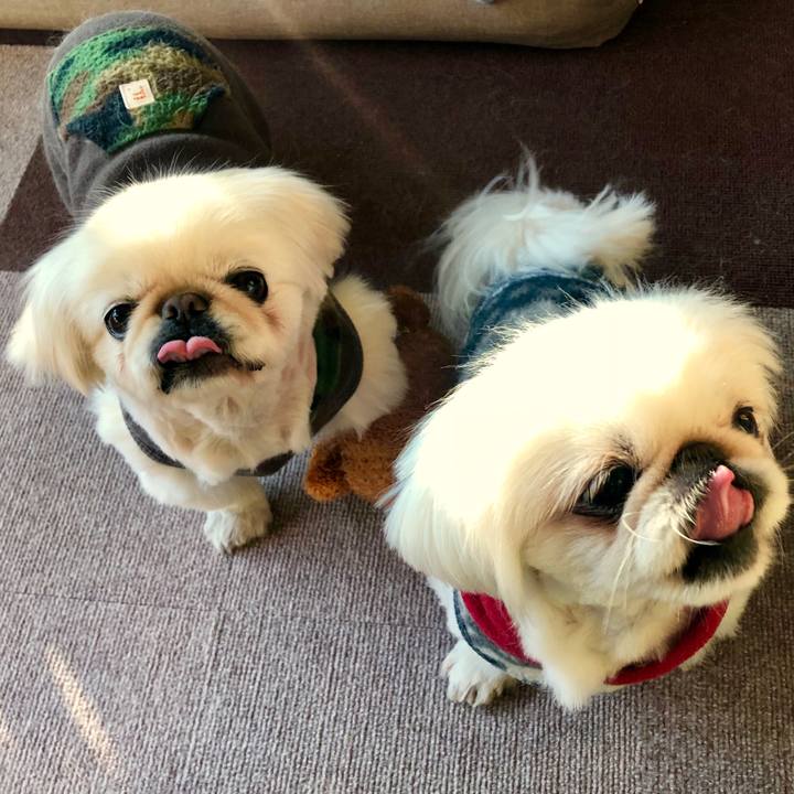 00be0825 4cbc 4646 80ab d7c2f6bd4255 1612681812863