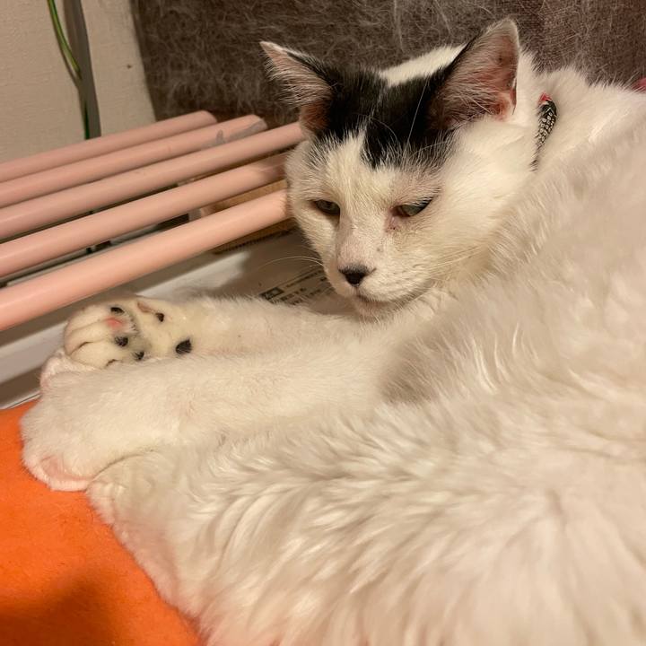 00be391a 7a5d 45d5 91a3 814ccf5d06ee 1759588752510