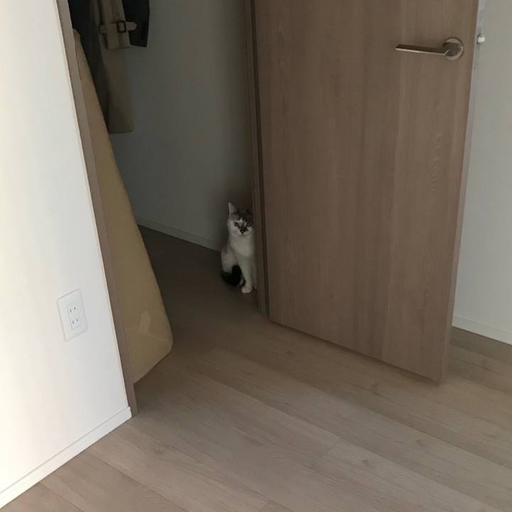 00be5170 19ee 4bc2 9705 e47dd598aba4 1517956001847