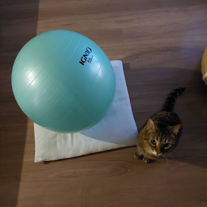 00be5b8b ae04 4802 bd18 a75890e6dc48 1641413702607