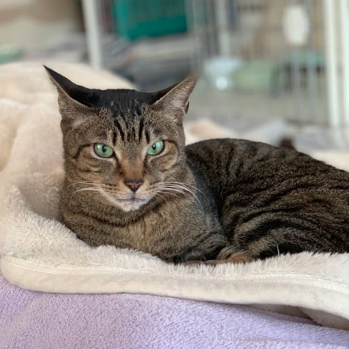 00be7214 3234 4305 bf8a d4b9649fad09 1547858987646