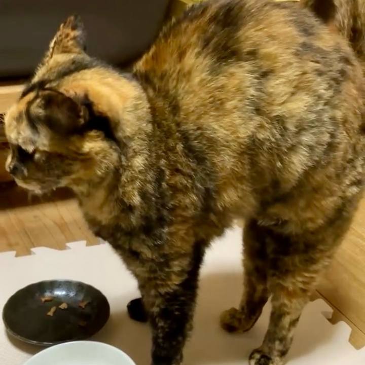 00beea90 1e90 4671 9272 94bd7e681d1a 1729917535406