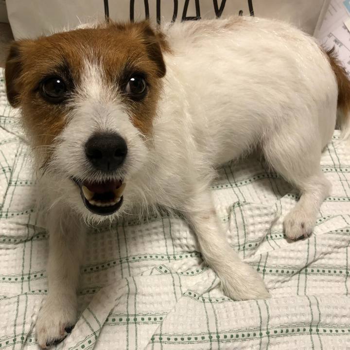 00bef501 a61b 402a b011 4d55da6aff00 1530543160448