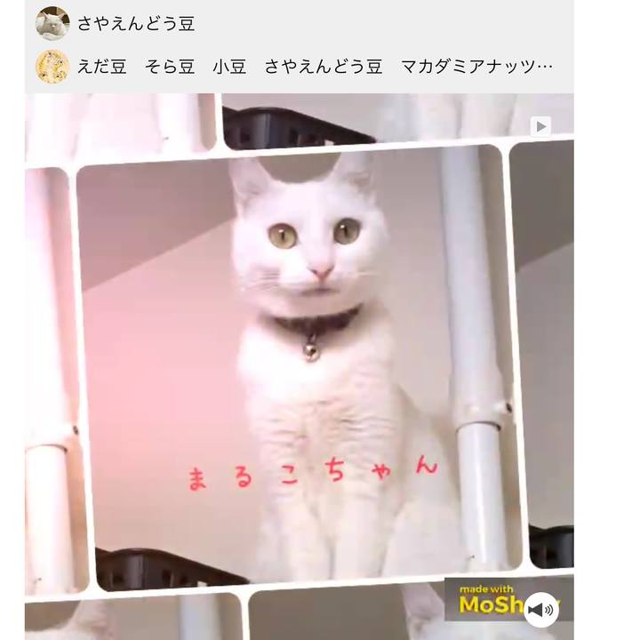 00bf55db 8176 4363 aa1f 67c004f5c149 1642669886805