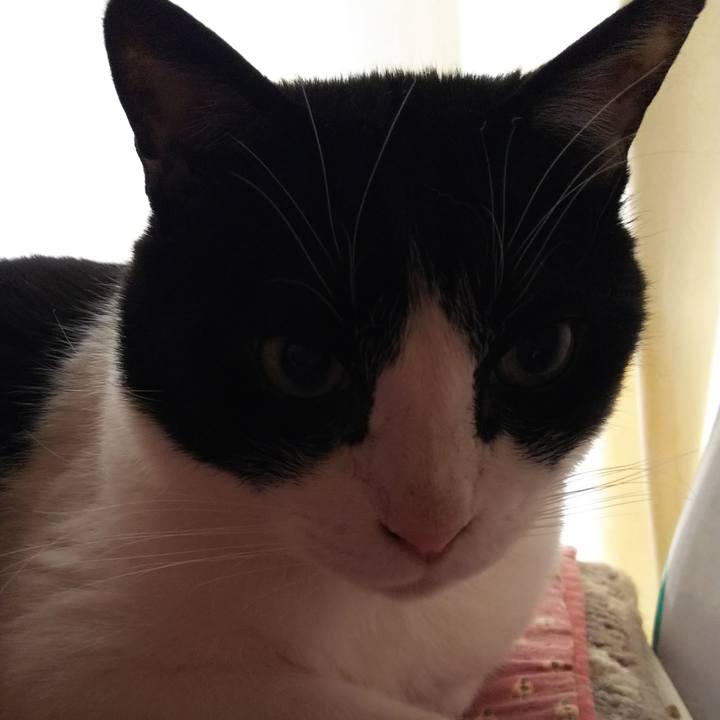 00bf6b54 b554 4aac b514 3cce48a968c0 1553909901507