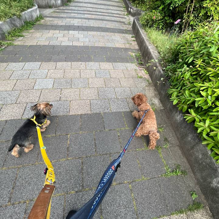 00bfbee7 6e94 478b ab3e 84810c200ecb 1683354612443