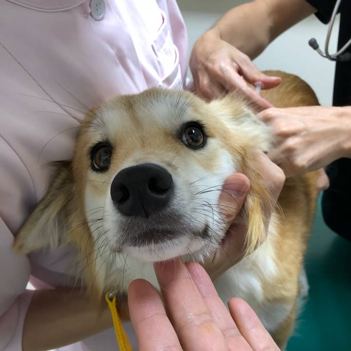 00c00abe 74ce 442e 9edc 52083139d967 1537415778152