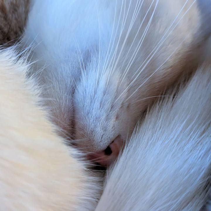 00c01f35 5f8c 4007 a0c0 b3ee8fdf90a9 1699080919754