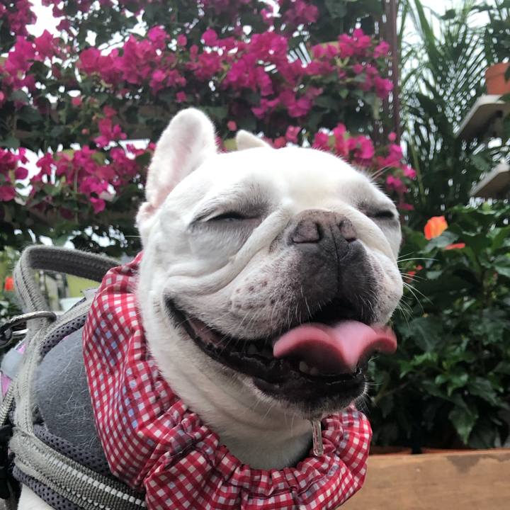 00c04dca 1ad5 4fc0 852c 03a767610682 1659832828997