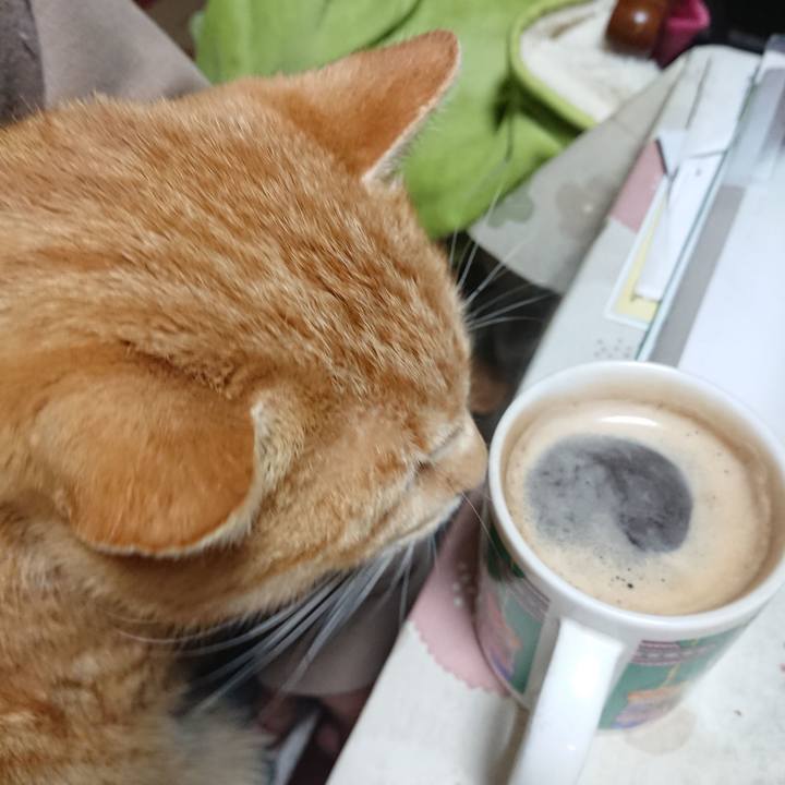 00c05ed5 4695 4e0c b568 ca56e16a5408 1583179325677