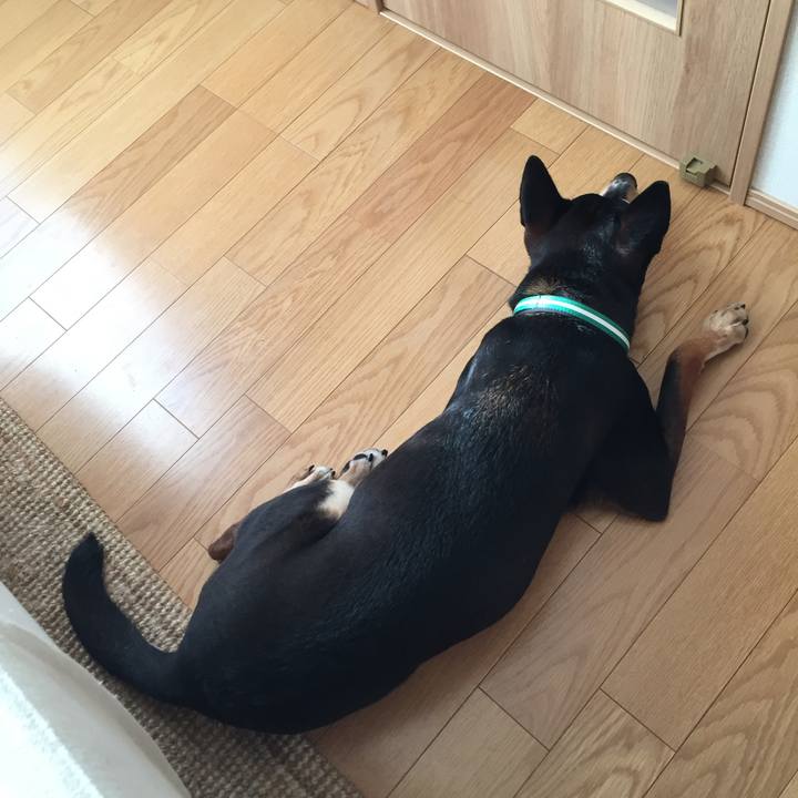 00c08617 9684 49ad b733 39a11a3db009 1514006706202