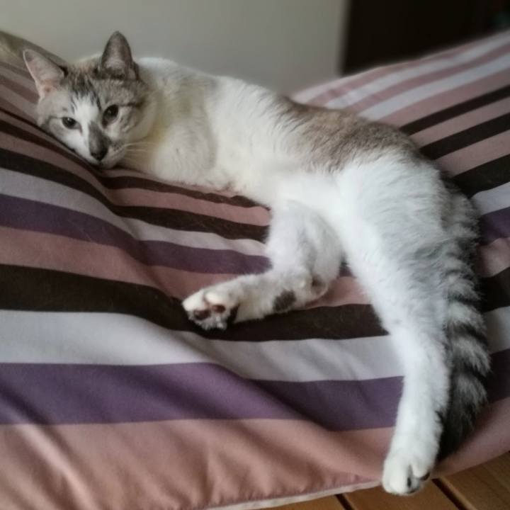 00c0ad7d a22b 4e52 993c 90d8068448b8 1536618472668