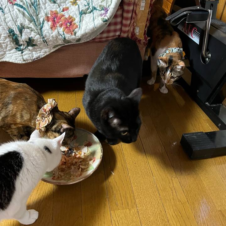 00c0d5ae 828c 4125 b991 784a58647871 1652014595520