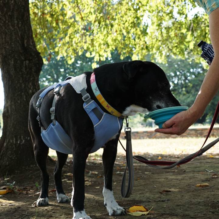 00c107b8 e9dc 4551 9463 160967cc3401 1756857344944