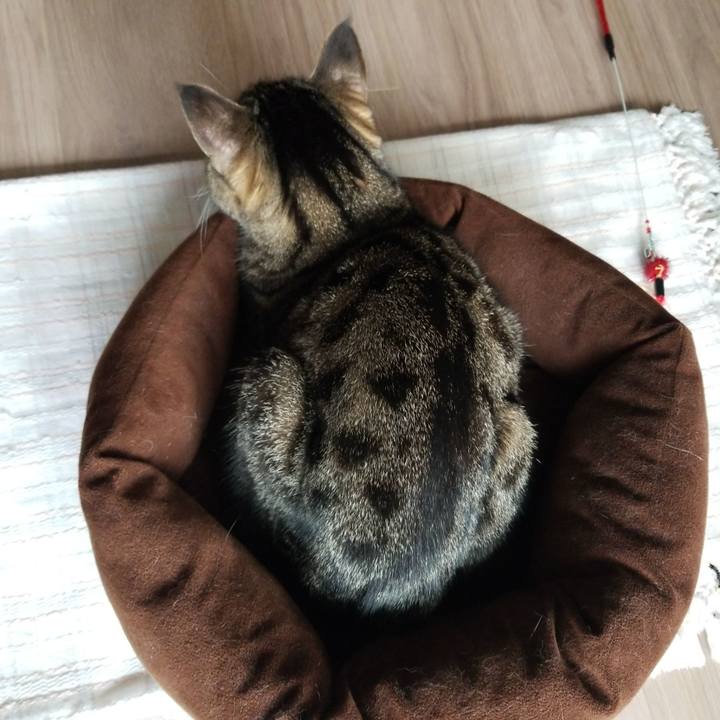 00c11fac 4b2c 4b8c 97da 9b8b90d76c80 1588722280612