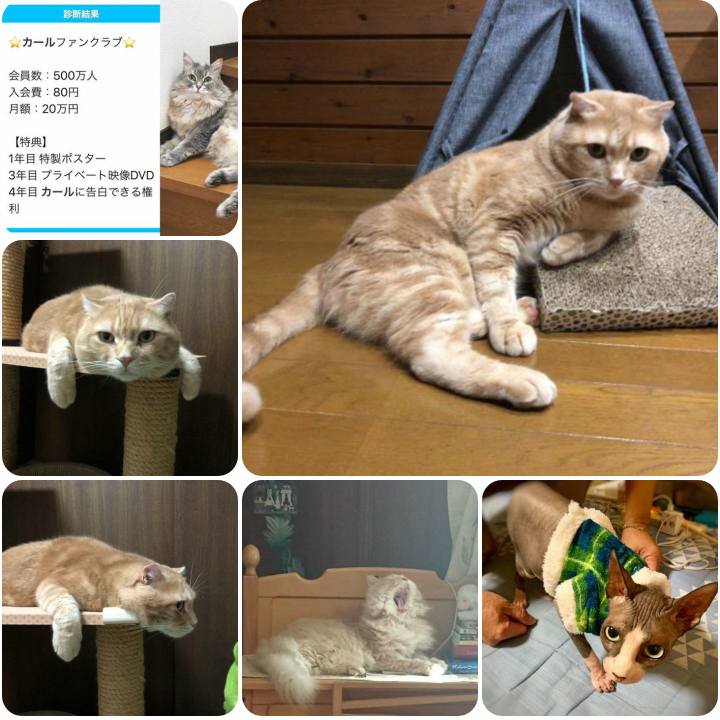 00c13ab7 8a44 4e23 9eeb 8395e7ada793 1568543248475