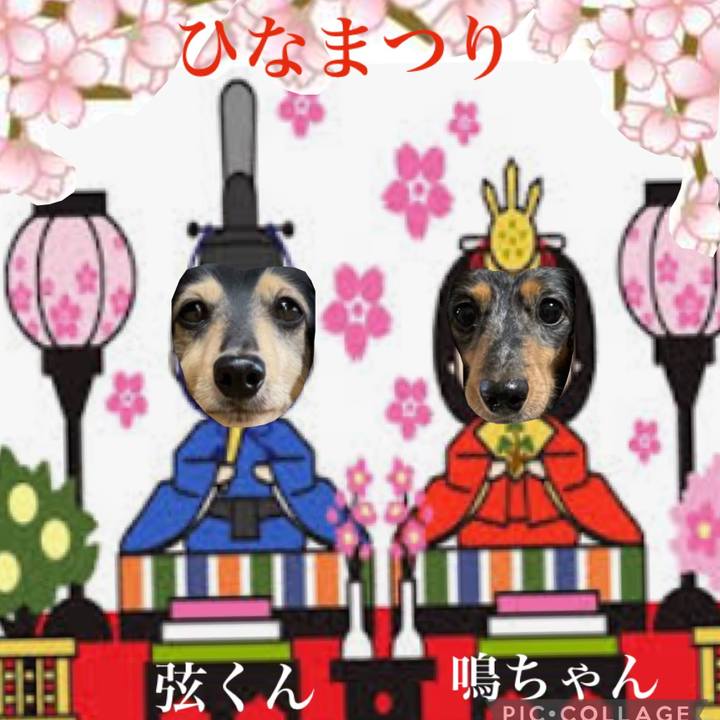 00c14f11 08fb 46ca 92f8 126e78df1be4 1646265187241