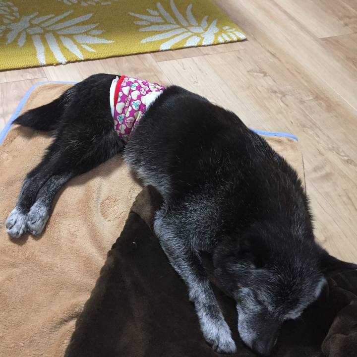 00c1716c 3c8f 4e6e a22d 7ccd2a670125 1550745693685