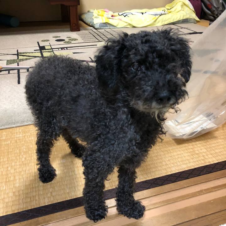 00c1cc78 0712 4eab baf2 16480b73c0ef 1540423010785