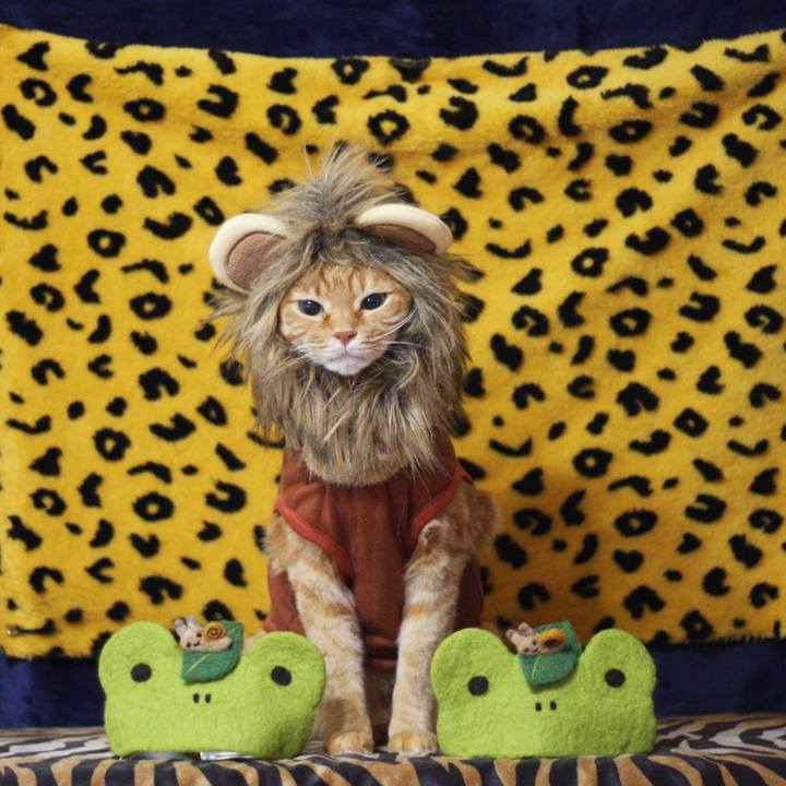 00c1d77f 88f7 460d 960e 46d0e0d7a981 1622528432936