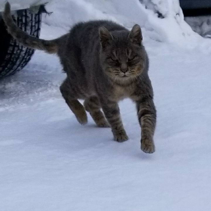 00c20106 b48c 404a b6d7 d8d6b7ee8a2d 1519132308770