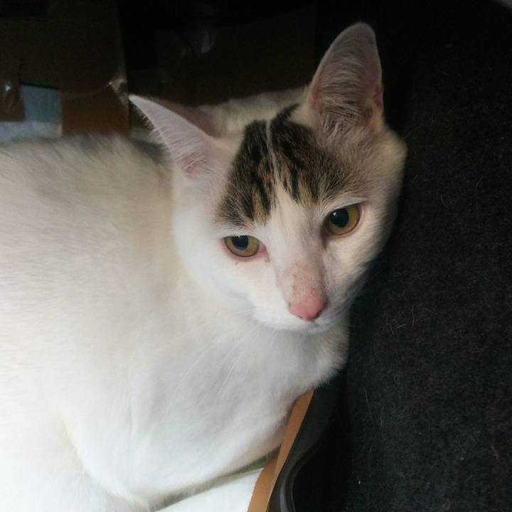 00c23ede 5092 4864 b671 6902bd75533f 1549032141556