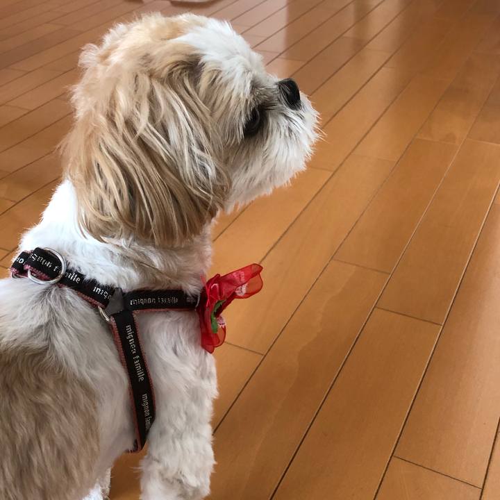 00c24132 69e3 4e13 9950 c0e4f7781583 1632087943768