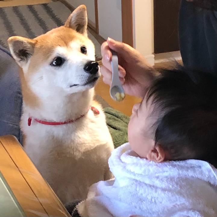 00c2454d c6fa 47ef a0a9 e22bc8db1798 1641862185667