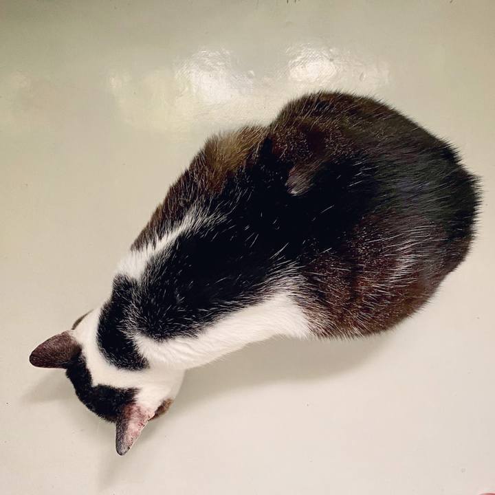 00c25b99 79b7 4db1 b4b8 5137857dee70 1596173288980