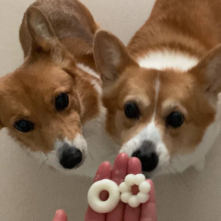 00c2a7f4 5d47 40d8 9aa3 85e55bb2b214 1692679604123