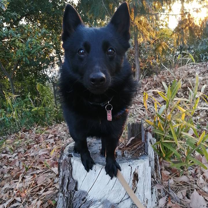 00c2c4e4 3991 4225 9614 714aceac159d 1613600985141