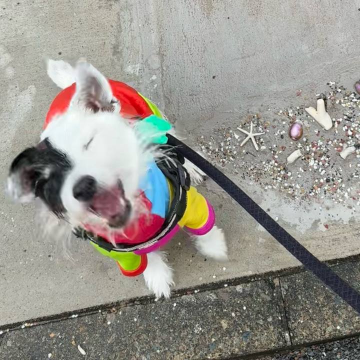 00c30cf8 a05e 4595 af59 db28d9569cec 1759278924586