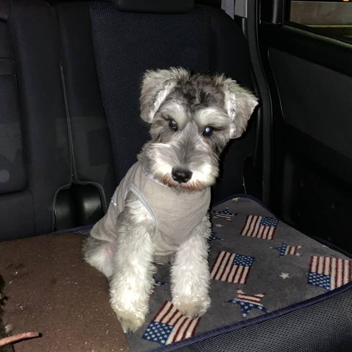 00c31d77 8393 4e59 9b8f b330375e8d0d 1572604253851