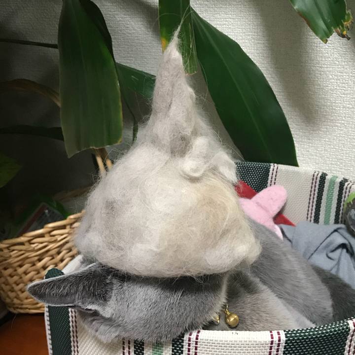 00c34688 200f 456f 968d ffcac598c0b5 1521032192676