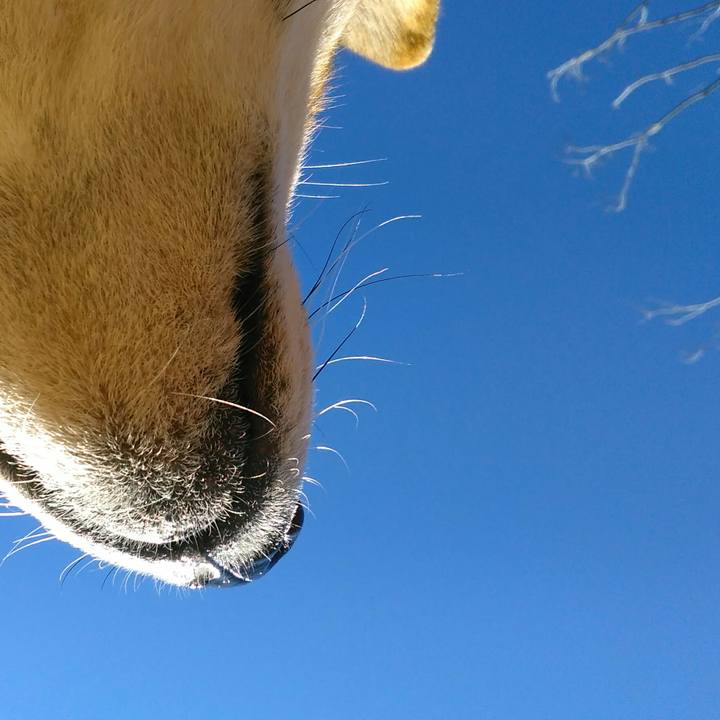 00c3487f c00a 4068 91d0 a339c50a0ab4 1511239672010