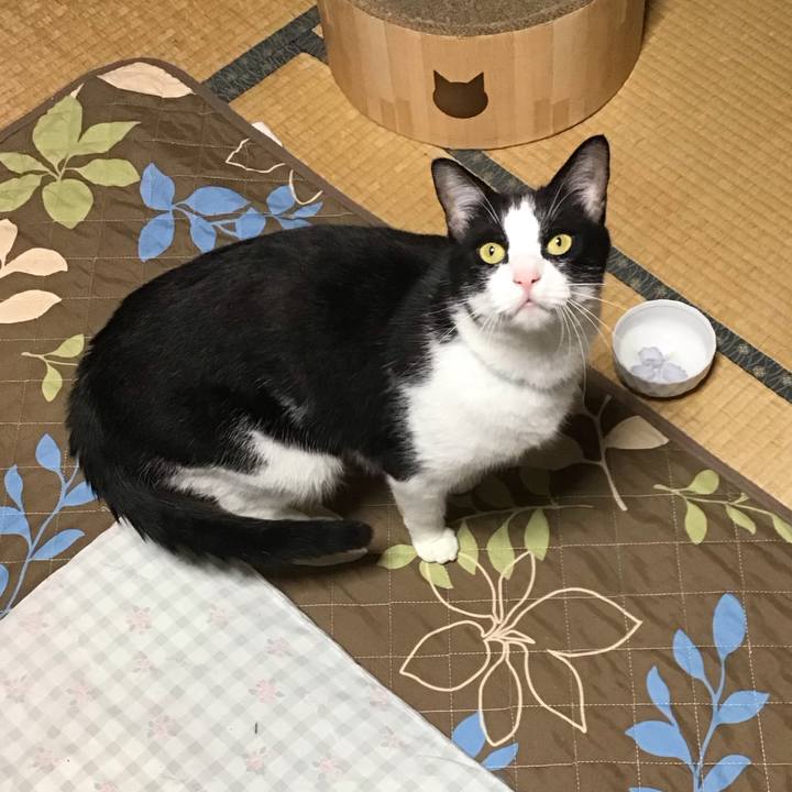 00c3585e 021f 439f 94c1 6a33aebd3521 1728294028688