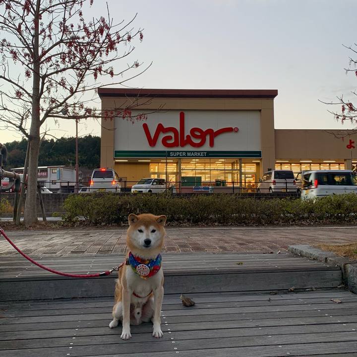 00c3b2df 8211 4094 bfbe 87290d24a982 1638443116573