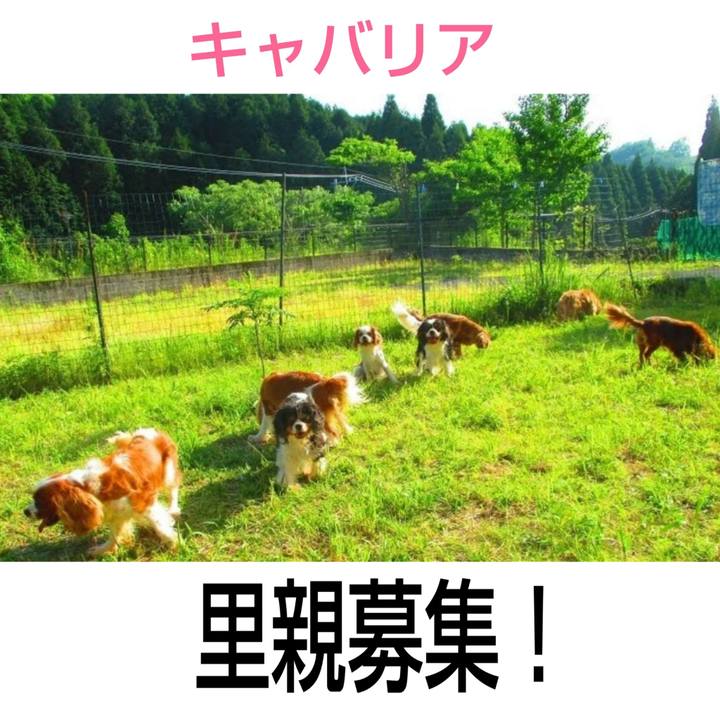 00c3bbc4 73cf 4413 abce c96a19922b94 1576410027593