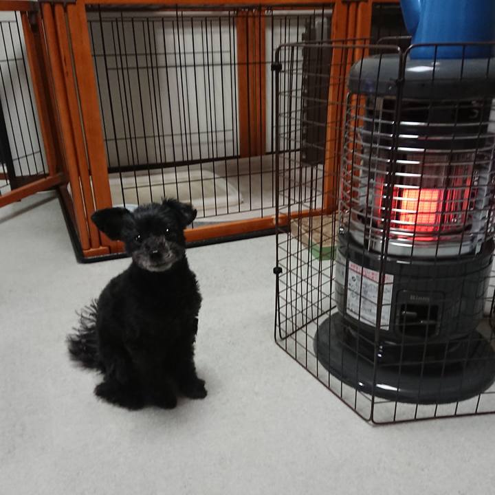 00c3dd9a 88b3 41d2 bee2 870edbc6e093 1575034444657