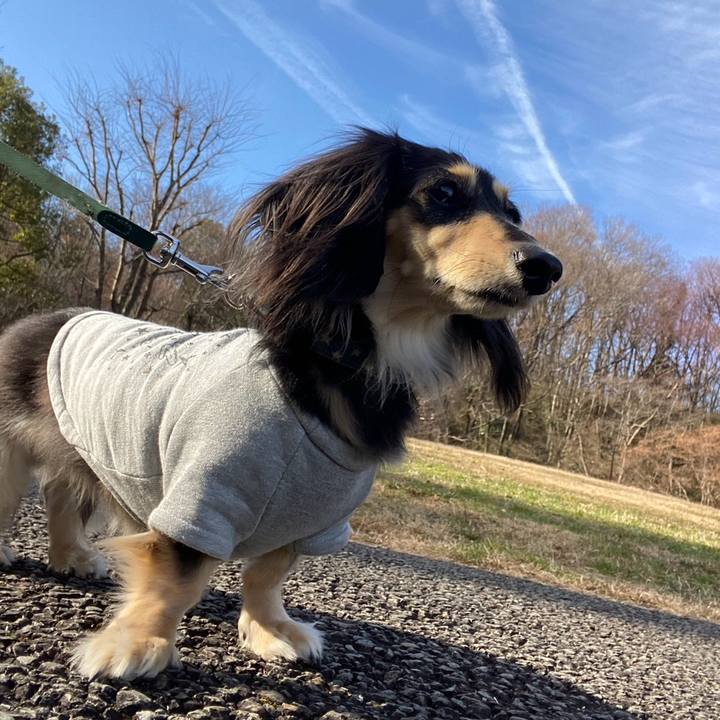 00c4085c 1d57 4117 9d68 65308da93c08 1767154637675